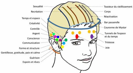 Massage réflexologique de la tête